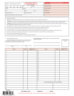 Boy Scouts of America Advancement Report
