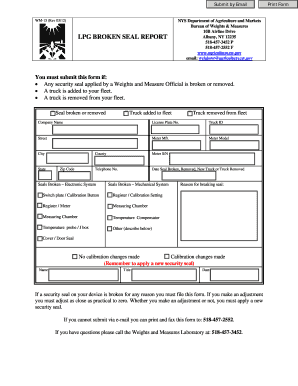 Form preview picture