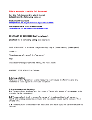 Consultant Agreement