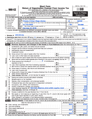Form 990-EZ 2008