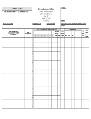 Delaware Payroll Report Form