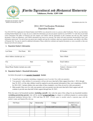 Florida A&M Verification Worksheet
