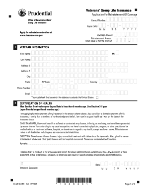 Form preview picture