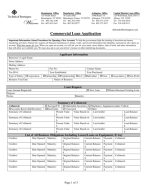 Commercial Loan Application