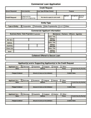 Commercial Loan Application Form