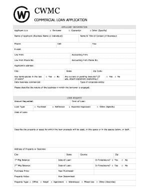 Commercial Loan Application