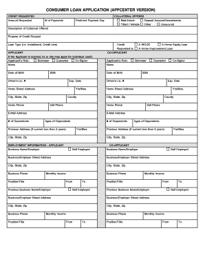 Consumer Loan Application Form