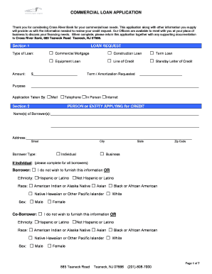 Commercial Loan Application