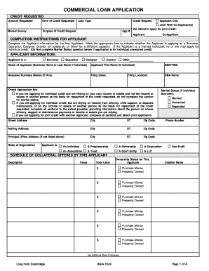 Commercial Loan Application Form