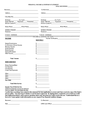 Personal Income & Expense Statement