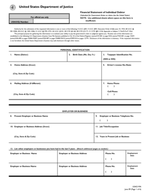 Financial Statement of Individual Debtor