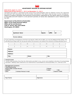 Apartment Income & Expense Report