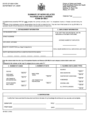 New York Work-Related Injuries and Illnesses Summary Form