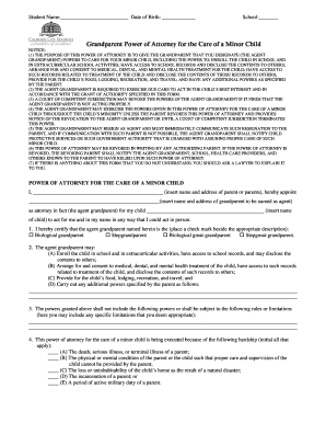 Grandparent Power of Attorney for Minor Child Care