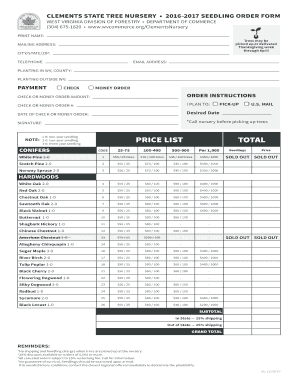 Form preview picture