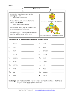 Plural Nouns Worksheet