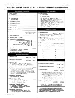 Inpatient Rehabilitation Facility Patient Assessment Instrument