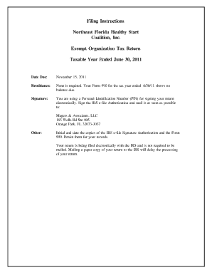 IRS Form 990 Exempt Organization Tax Return