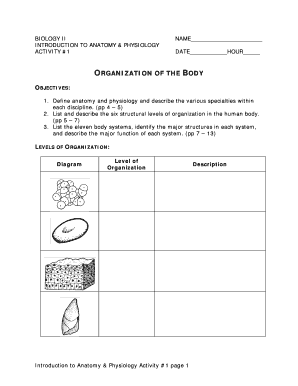Anatomy and Physiology Activity Worksheet