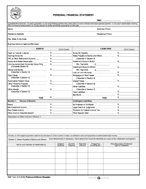 Personal Financial Statement Form