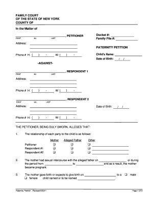 New York Paternity Petition
