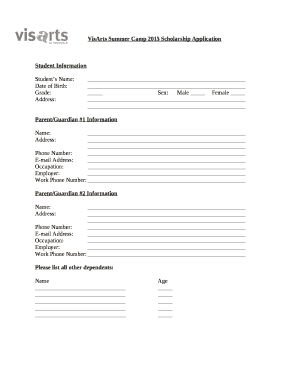 VisArts Summer Camp 2015 Scholarship Application