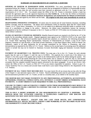 SUMMARY OF REQUIREMENTS OF CHAPTER 11 DEBTORS