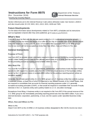 Instructions for Form 8975Department of the Treasury