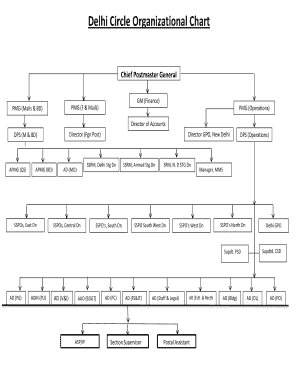 Delhi Circle Organizational Chart