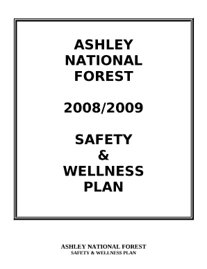 SAFETY & WELLNESS PLAN