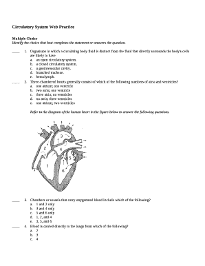 Circulatory System Web Practice