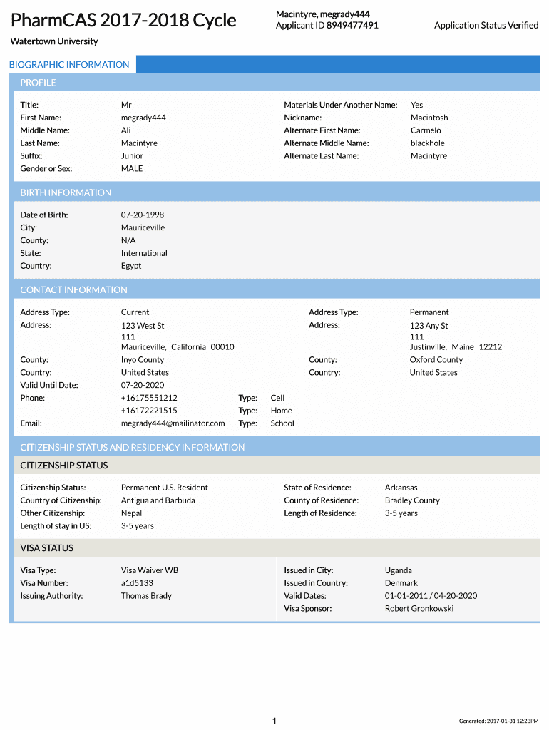 Form preview