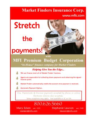 Mfi premium budget
