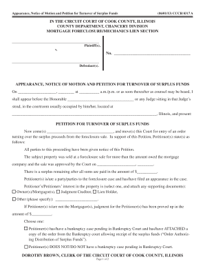 Form preview picture