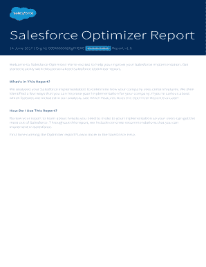 Fillable Online Salesforce Optimizer Report Fax Email Print - pdfFiller