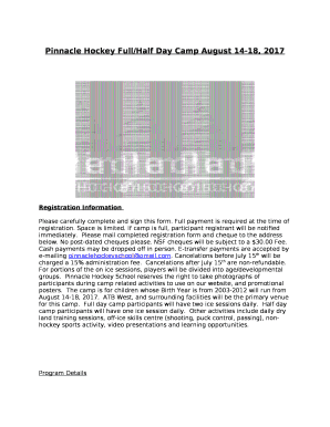 Pinnacle Hockey Full/Half Day Camp August 14-18, 2017