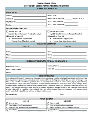 Fillable Online 2017 YOUTH SOCCER PLAYER REGISTRATION FORM Fax Email ...