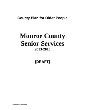 County Plan for Older People