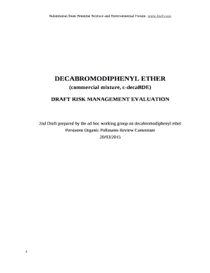 2nd Draft prepared by the ad hoc working group on decabromodiphenyl ether