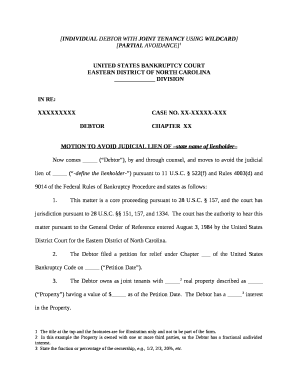 INDIVIDUAL DEBTOR WITH JOINT TENANCY USING WILDCARD