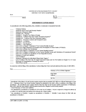 An amendment to the following petition, lists, schedules or statements is transmitted herewith: