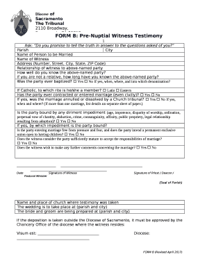 FORM B: Pre-Nuptial Witness Testimony