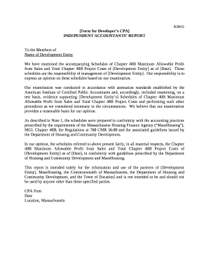 Form for Developers CPA