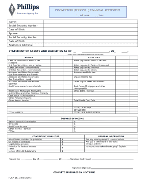 INDEMNITORS (PERSONAL) FINANCIAL STATEMENT
