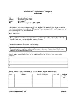 RE:Performance Improvement Plan (PIP)