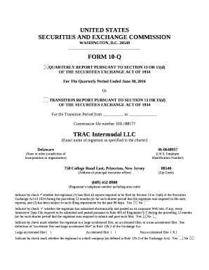 See definition of accelerate filer and large accelerated filer in Rule 12b-2 of the Exchange Act