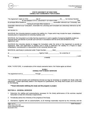 CONSULTANT AGREEMENT FOR STUDIES