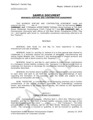 BUSINESS VENTURE AND CONTRIBUTION AGREEMENT