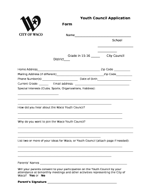Youth Council Application Form
