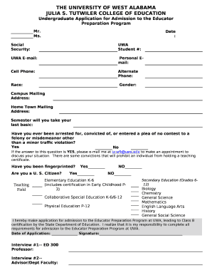 Form preview